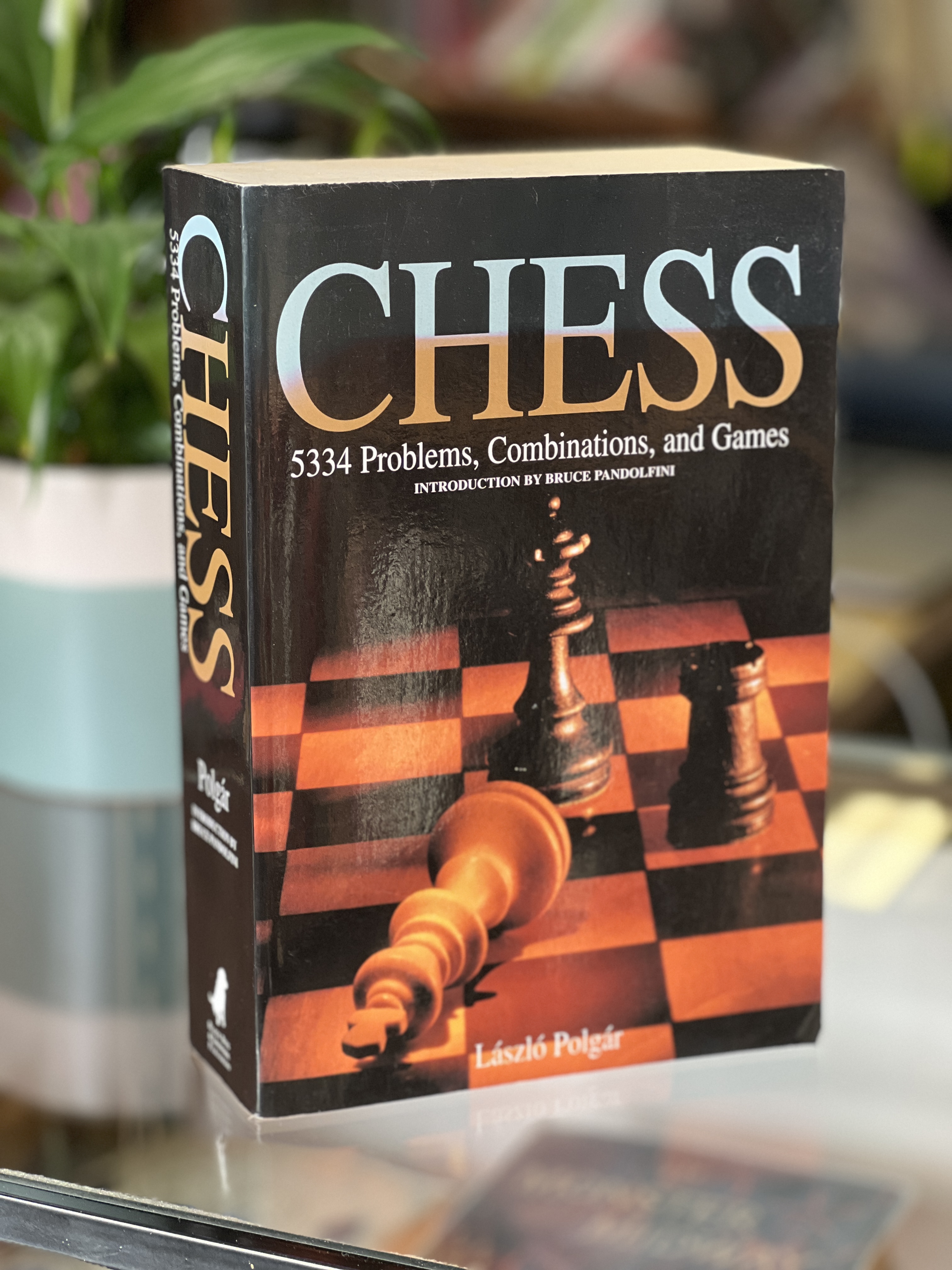 Chess 5334 Problems, Combinations, and Games